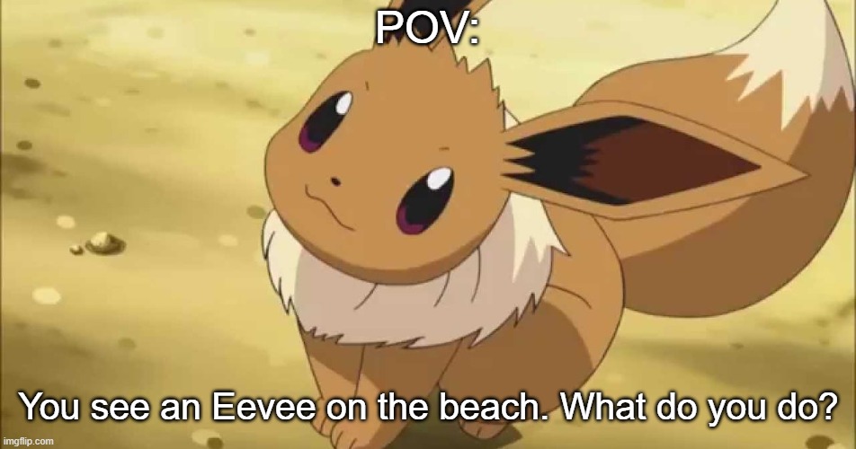 no joke or erp please :3 | POV:; You see an Eevee on the beach. What do you do? | image tagged in pov,roleplay,eevee | made w/ Imgflip meme maker