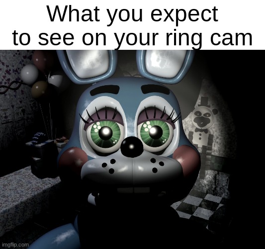 POV: Someone rings your doorbell | What you expect to see on your ring cam | image tagged in fnaf,five nights at freddy's,fnaf 2,fnaf2,pov | made w/ Imgflip meme maker