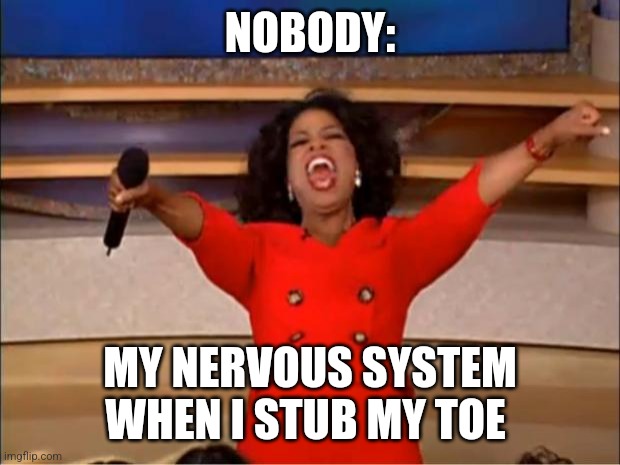 I stubbed my toe | NOBODY:; MY NERVOUS SYSTEM WHEN I STUB MY TOE | image tagged in memes,oprah you get a | made w/ Imgflip meme maker