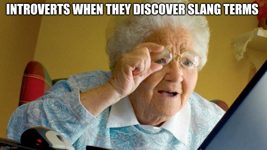 grandma computer | INTROVERTS WHEN THEY DISCOVER SLANG TERMS | image tagged in grandma computer | made w/ Imgflip meme maker