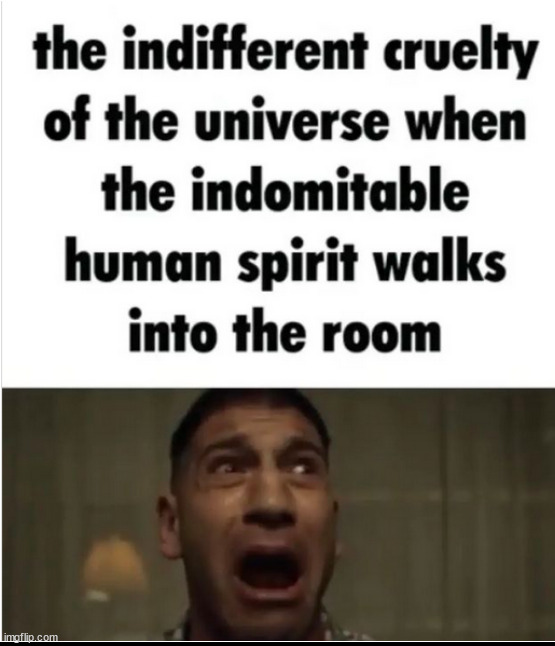 indomitable human spirit meme #2 | made w/ Imgflip meme maker