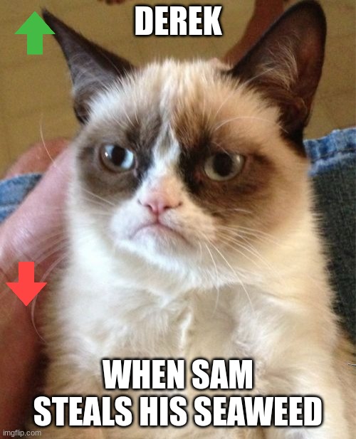 My friend when my other friend steals his seaweed | DEREK; WHEN SAM STEALS HIS SEAWEED | image tagged in memes,grumpy cat | made w/ Imgflip meme maker