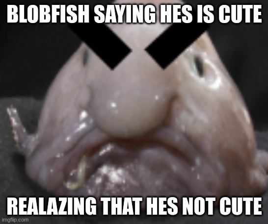 blobfisho | BLOBFISH SAYING HES IS CUTE; REALAZING THAT HES NOT CUTE | image tagged in pink blob in the box | made w/ Imgflip meme maker