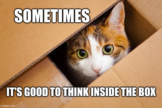 The Box | SOMETIMES; IT'S GOOD TO THINK INSIDE THE BOX | image tagged in box,cat,roll safe think about it,thinking,positive thinking,awesome | made w/ Imgflip meme maker