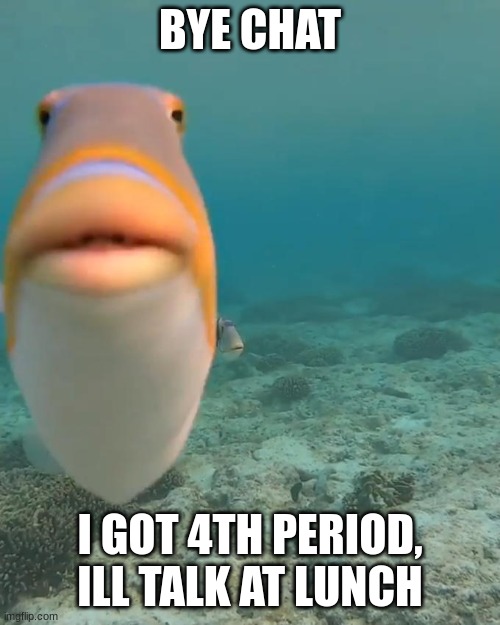 My teacher is finna block me, so... ya. bye | BYE CHAT; I GOT 4TH PERIOD, ILL TALK AT LUNCH | image tagged in staring fish | made w/ Imgflip meme maker