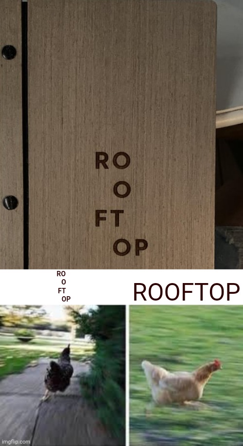 Rooftop | RO 
  O
FT
     OP; ROOFTOP | image tagged in running chicken,rooftop,roof,wood,you had one job,memes | made w/ Imgflip meme maker