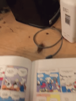 Compulsive Save Gif Animated GIF - Imgflip