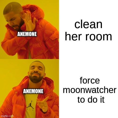 Drake Hotline Bling | clean her room; ANEMONE; force moonwatcher  to do it; ANEMONE | image tagged in memes,drake hotline bling,wof | made w/ Imgflip meme maker