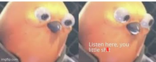 High Quality Angry Bird Blank Meme Template