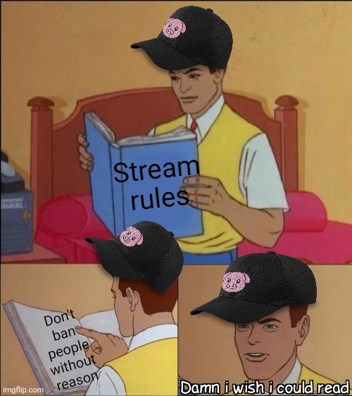 Damn i wish i could read | Stream rules Don't ban people without reason | image tagged in damn i wish i could read | made w/ Imgflip meme maker