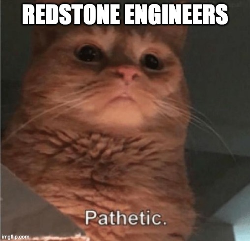 Pathetic Cat | REDSTONE ENGINEERS | image tagged in pathetic cat | made w/ Imgflip meme maker