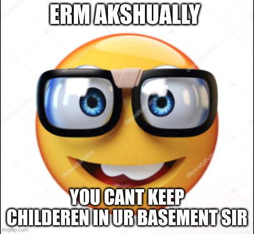 ERM AKSHUALLY; YOU CANT KEEP CHILDEREN IN UR BASEMENT SIR | image tagged in lol so funny | made w/ Imgflip meme maker