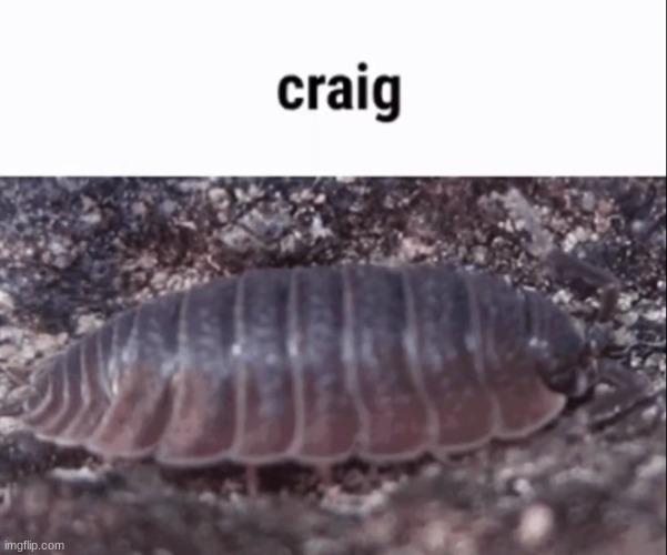 craig | image tagged in craig | made w/ Imgflip meme maker