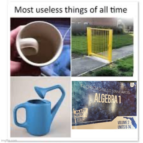 Screw algebra nation | image tagged in most useless things | made w/ Imgflip meme maker