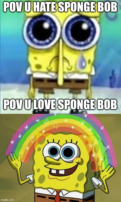 POV U HATE SPONGE BOB; POV U LOVE SPONGE BOB | image tagged in sad bob,memes,imagination spongebob | made w/ Imgflip meme maker