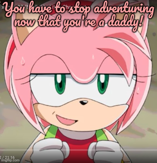 Amy Rose! | You have to stop adventuring now that you're a daddy! | image tagged in amy rose | made w/ Imgflip meme maker