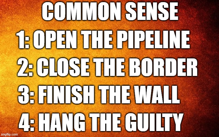 Common Sense | COMMON SENSE; 1: OPEN THE PIPELINE; 2: CLOSE THE BORDER; 3: FINISH THE WALL; 4: HANG THE GUILTY | image tagged in illegal immigration,immigration,immigrants,illegal immigrants,build a wall,build the wall | made w/ Imgflip meme maker