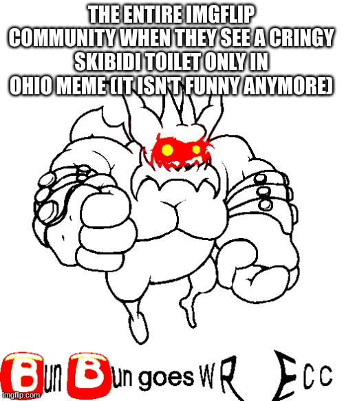 imgflip go W R E C C | THE ENTIRE IMGFLIP COMMUNITY WHEN THEY SEE A CRINGY SKIBIDI TOILET ONLY IN OHIO MEME (IT ISN'T FUNNY ANYMORE) | image tagged in bun bun goes wrecc | made w/ Imgflip meme maker