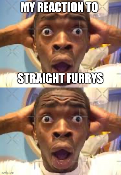 they can make more now )= | MY REACTION TO; STRAIGHT FURRYS | image tagged in black man | made w/ Imgflip meme maker