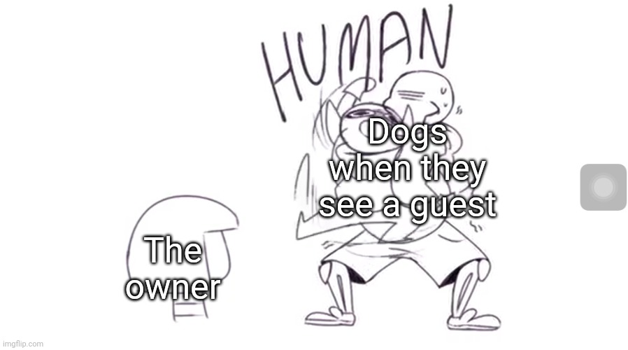 Lol | Dogs when they see a guest; The owner | image tagged in blueberry come here human,dog,dogs,underswap,sans,undertale | made w/ Imgflip meme maker