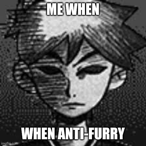 Me when anti-furry | ME WHEN; WHEN ANTI-FURRY | image tagged in hero has had enough,furry memes,funny | made w/ Imgflip meme maker
