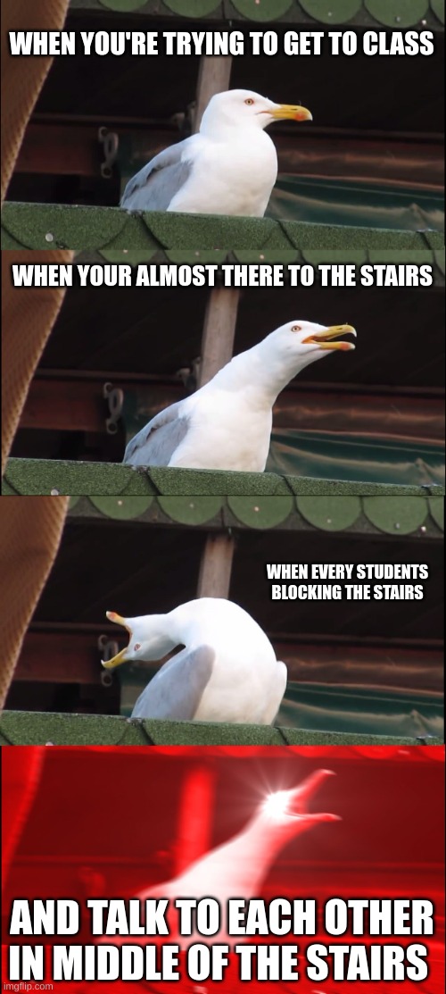 does any student feel my pain | WHEN YOU'RE TRYING TO GET TO CLASS; WHEN YOUR ALMOST THERE TO THE STAIRS; WHEN EVERY STUDENTS BLOCKING THE STAIRS; AND TALK TO EACH OTHER IN MIDDLE OF THE STAIRS | image tagged in memes,inhaling seagull,school | made w/ Imgflip meme maker
