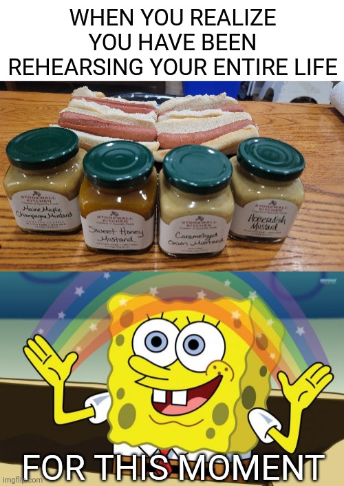 4 hotdogs 4 mustards | WHEN YOU REALIZE YOU HAVE BEEN REHEARSING YOUR ENTIRE LIFE; FOR THIS MOMENT | image tagged in spongbob,mustard,hotdog | made w/ Imgflip meme maker
