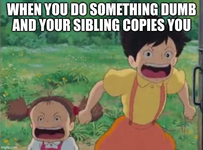 my neighbor totoro | WHEN YOU DO SOMETHING DUMB AND YOUR SIBLING COPIES YOU | image tagged in my neighbor totoro copying,anime,siblings,funny | made w/ Imgflip meme maker