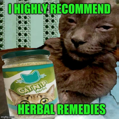 Shit Poster 4 Lyfe | I HIGHLY RECOMMEND; HERBAL REMEDIES | image tagged in ship osta 4 lyfe,catnip,medicine,the 100,sexy cat,happy cat | made w/ Imgflip meme maker
