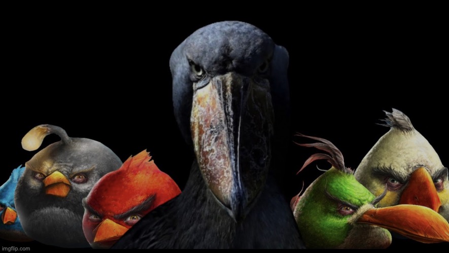 the w and the flock | image tagged in the w and the flock | made w/ Imgflip meme maker