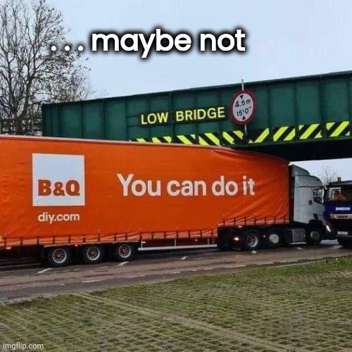 Another Diversity Hire | . . . maybe not | image tagged in truck driver,ooo you almost had it,you had one job,mission failed,bridge,too many tags | made w/ Imgflip meme maker