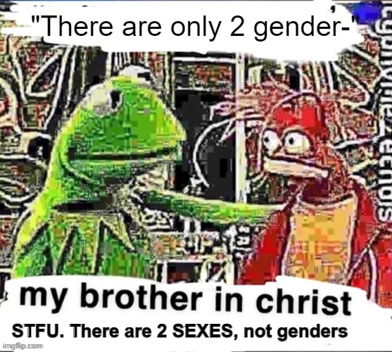 real | "There are only 2 gender-"; STFU. There are 2 SEXES, not genders | image tagged in my brother in christ | made w/ Imgflip meme maker