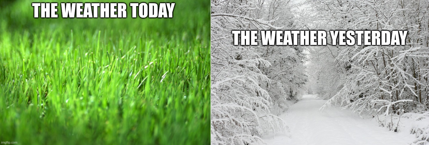 Weather be like | THE WEATHER TODAY; THE WEATHER YESTERDAY | image tagged in grass is greener,snowy forest | made w/ Imgflip meme maker