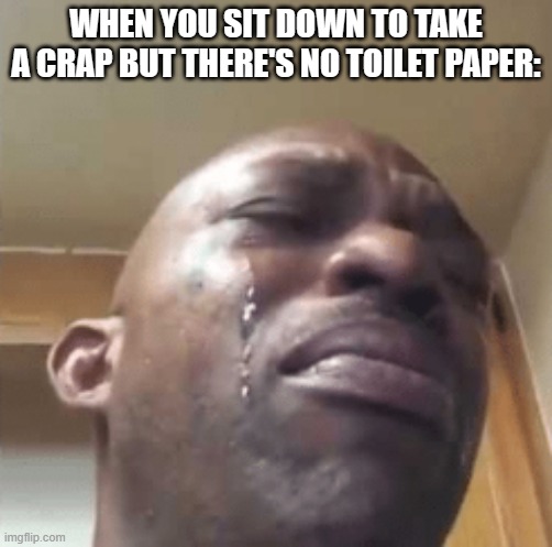 whyyyyyyyy | WHEN YOU SIT DOWN TO TAKE A CRAP BUT THERE'S NO TOILET PAPER: | image tagged in funny,relatable,annoying | made w/ Imgflip meme maker
