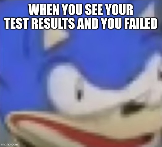 image tagged in sonic the hedgehog,funny,pov,funny memes | made w/ Imgflip meme maker