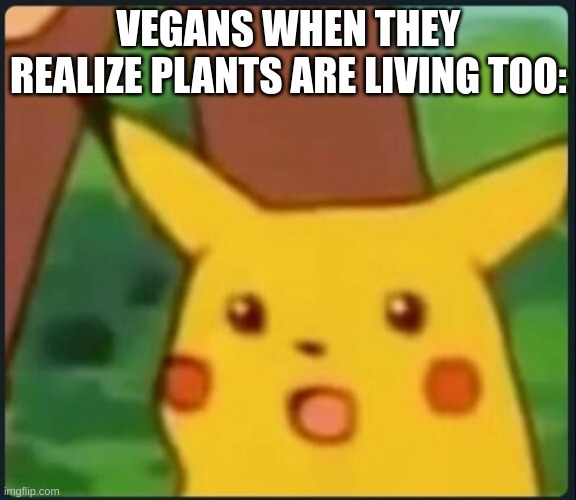 Surprised Pikachu | VEGANS WHEN THEY REALIZE PLANTS ARE LIVING TOO: | image tagged in surprised pikachu | made w/ Imgflip meme maker