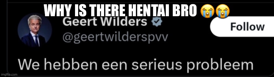 Wat habben to da meems | WHY IS THERE HENTAI BRO 😭😭 | image tagged in we habben een serius probleem | made w/ Imgflip meme maker