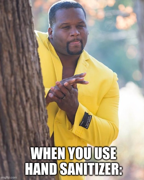 Anthony Adams Rubbing Hands | WHEN YOU USE HAND SANITIZER: | image tagged in anthony adams rubbing hands | made w/ Imgflip meme maker