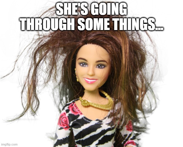 Messy Barbie | SHE'S GOING THROUGH SOME THINGS... | image tagged in messy barbie | made w/ Imgflip meme maker