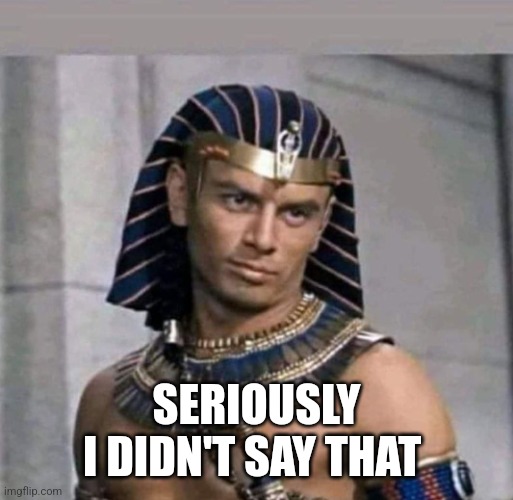pharaoh | SERIOUSLY
I DIDN'T SAY THAT | image tagged in pharaoh | made w/ Imgflip meme maker