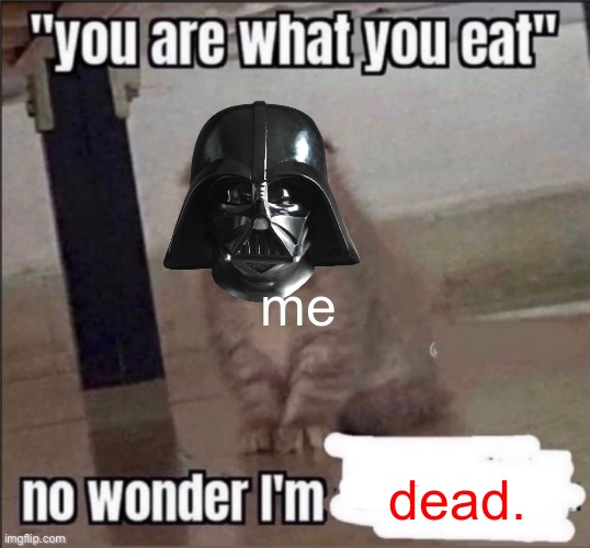 you are what you eat | me; dead. | image tagged in you are what you eat | made w/ Imgflip meme maker