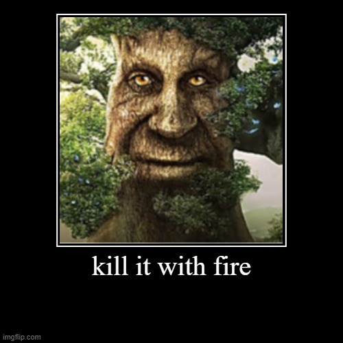 If you find this thing do this: | kill it with fire | | image tagged in funny,demotivationals | made w/ Imgflip demotivational maker