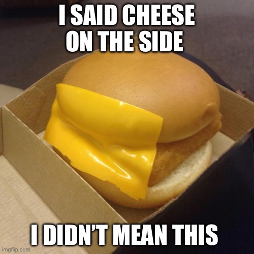 how | I SAID CHEESE ON THE SIDE; I DIDN’T MEAN THIS | image tagged in you had one job | made w/ Imgflip meme maker