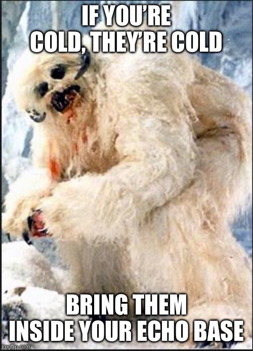 Cold Wampa | IF YOU’RE COLD, THEY’RE COLD; BRING THEM INSIDE YOUR ECHO BASE | image tagged in wampa,cold,inside,freezing cold,freeze | made w/ Imgflip meme maker