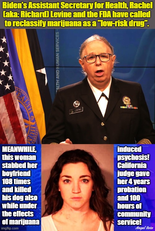 asst secretary for health rachel levine on marijuana | Biden's Assistant Secretary for Health, Rachel
(aka: Richard) Levine and the FDA have called 
to reclassify marijuana as a "low-risk drug". MEANWHILE,
this woman
stabbed her
boyfriend
108 times
and killed
his dog also
while under
the effects
of marijuana; induced
psychosis!
California
judge gave
her 4 years
probation
and 100
hours of
community
service! Angel Soto | image tagged in asst health sec rachel richard levine,marijuana,medical marijuana,california,judge,psychosis | made w/ Imgflip meme maker