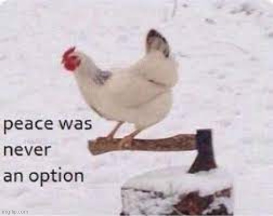 Chicken #53 | image tagged in cursed,cursed image,fun | made w/ Imgflip meme maker