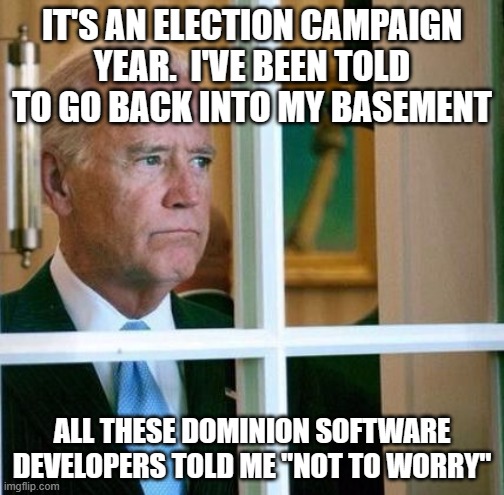 Sad Joe Biden | IT'S AN ELECTION CAMPAIGN YEAR.  I'VE BEEN TOLD TO GO BACK INTO MY BASEMENT; ALL THESE DOMINION SOFTWARE DEVELOPERS TOLD ME "NOT TO WORRY" | image tagged in sad joe biden | made w/ Imgflip meme maker