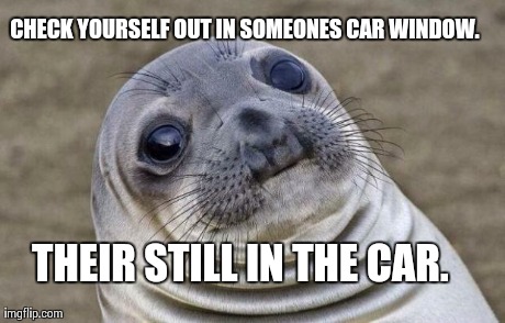 Awkward Moment Sealion | CHECK YOURSELF OUT IN SOMEONES CAR WINDOW. THEIR STILL IN THE CAR. | image tagged in awkward sealion,AdviceAnimals | made w/ Imgflip meme maker