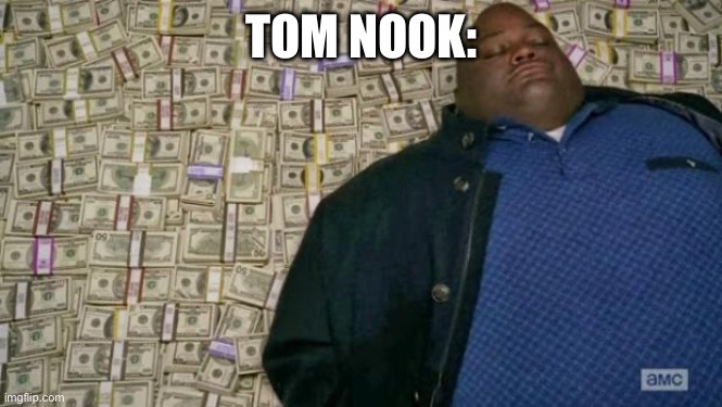 huell money | TOM NOOK: | image tagged in huell money | made w/ Imgflip meme maker