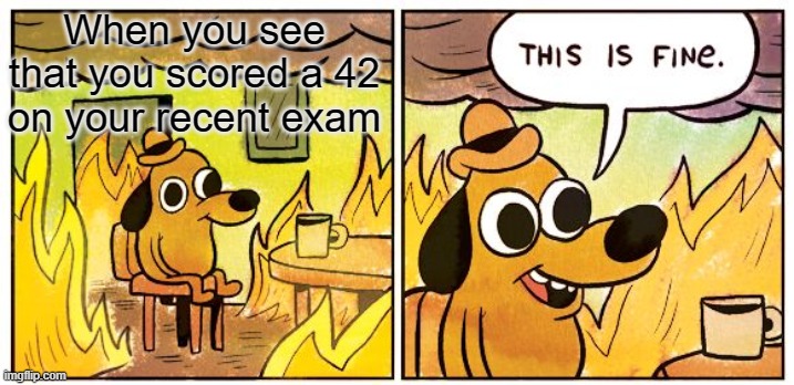 This Is Fine Meme | When you see that you scored a 42 on your recent exam | image tagged in memes,this is fine,fire,dog,this is fine dog,exam | made w/ Imgflip meme maker